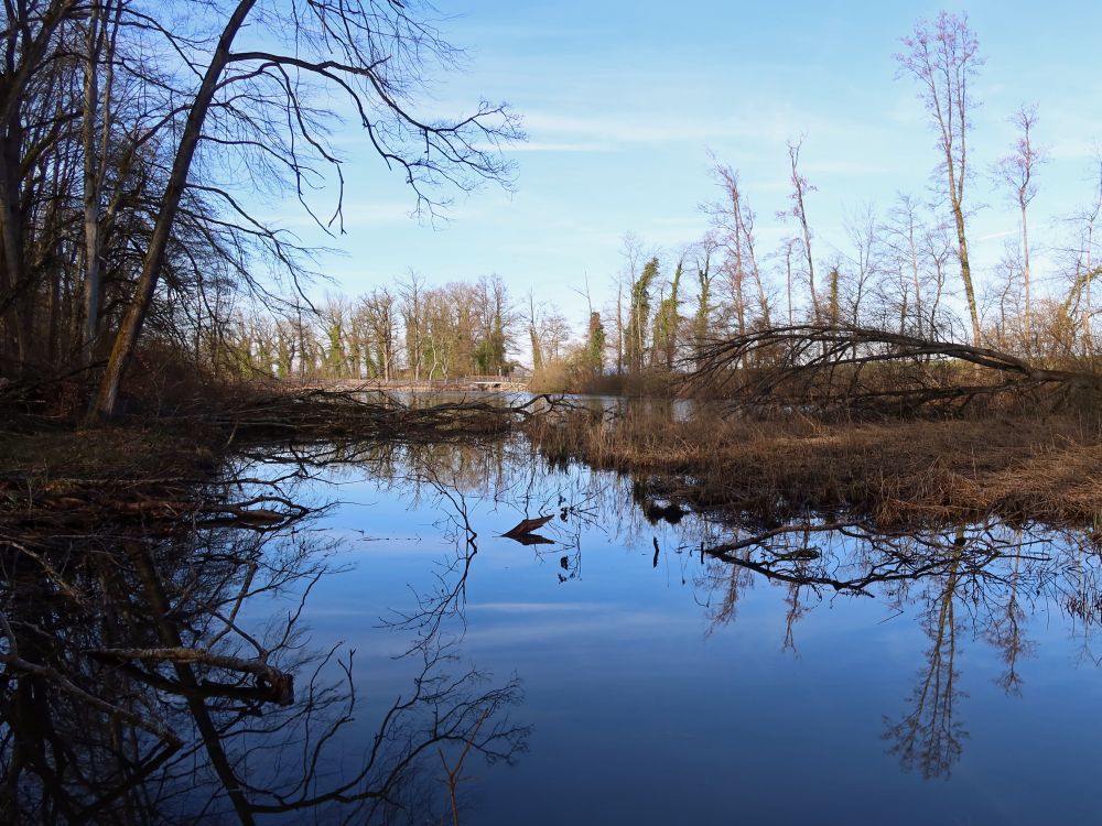 Uttwiler Eisweiher