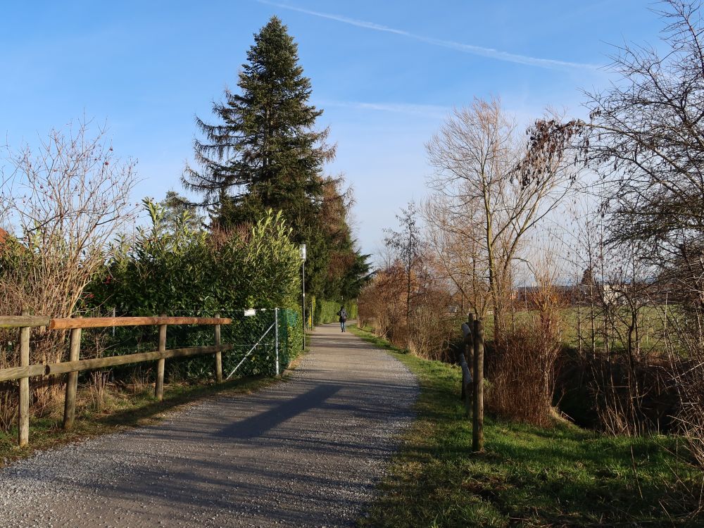 Bachweg in Romanshorn