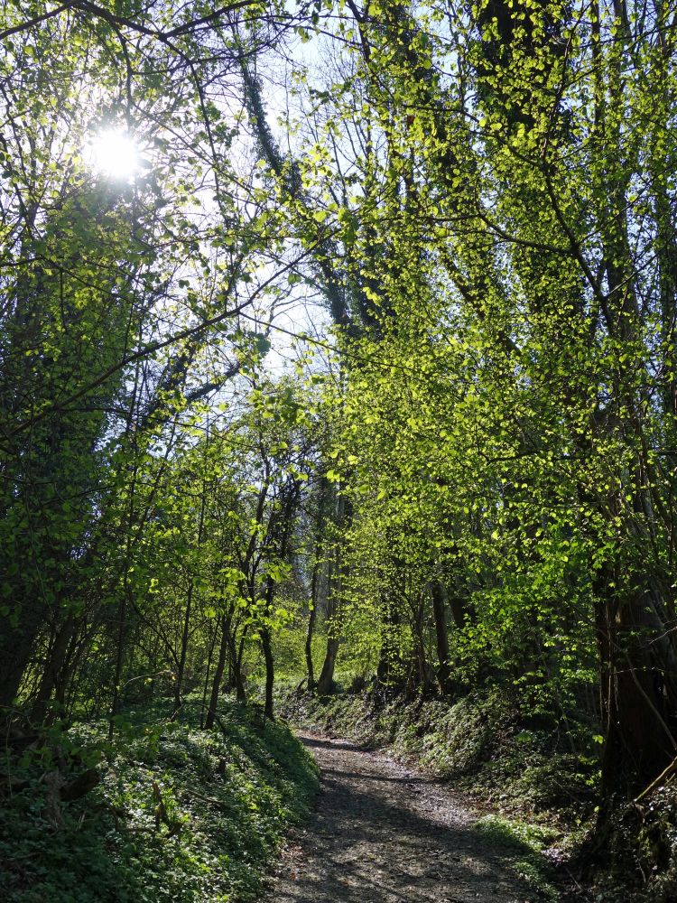 Eschlensträsschen
