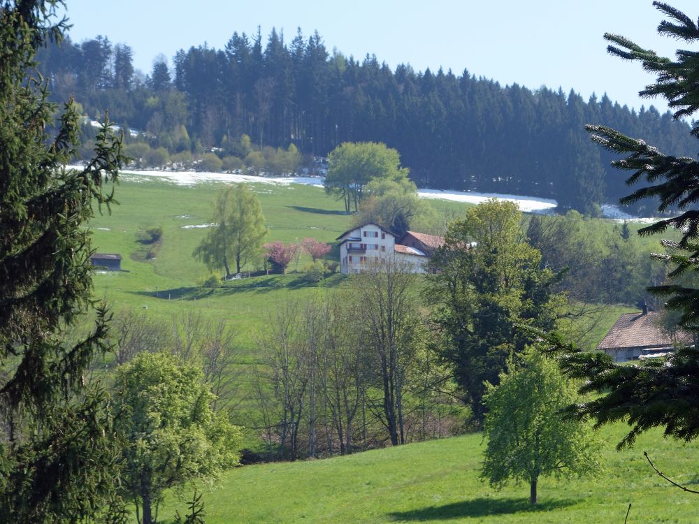 Alpenau und Schneereste