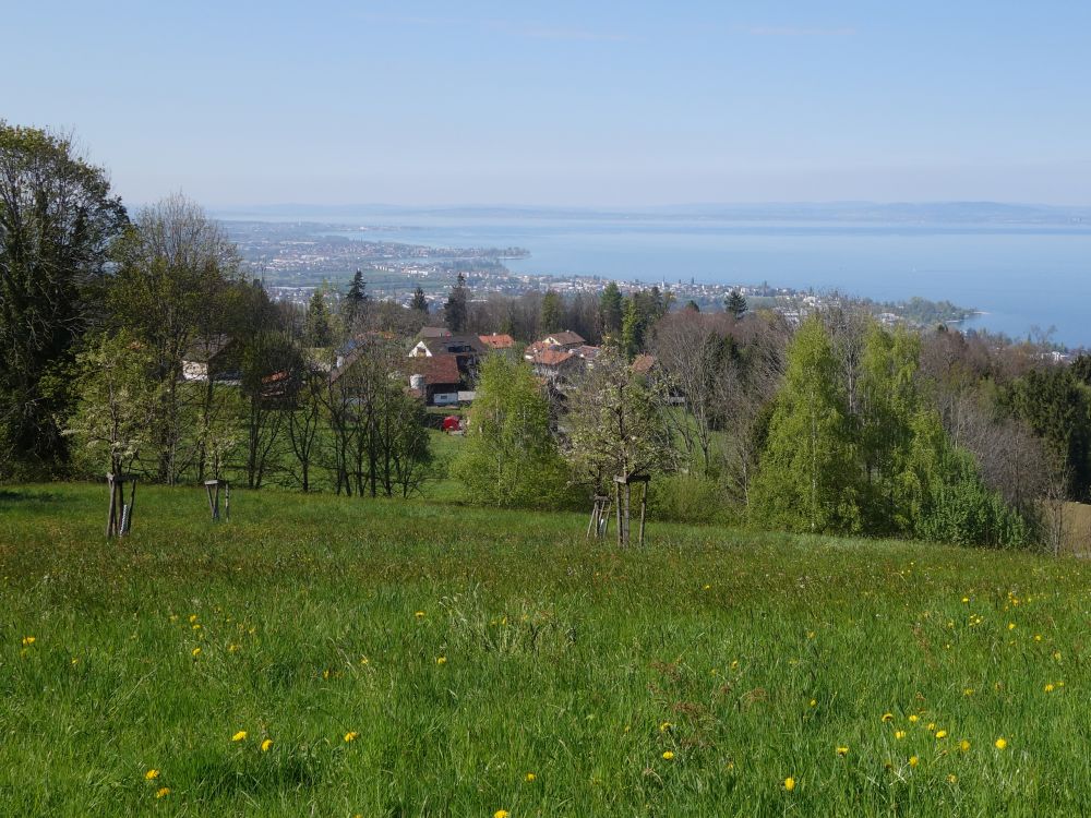 Blick zum Schweizer Bodenseeufer