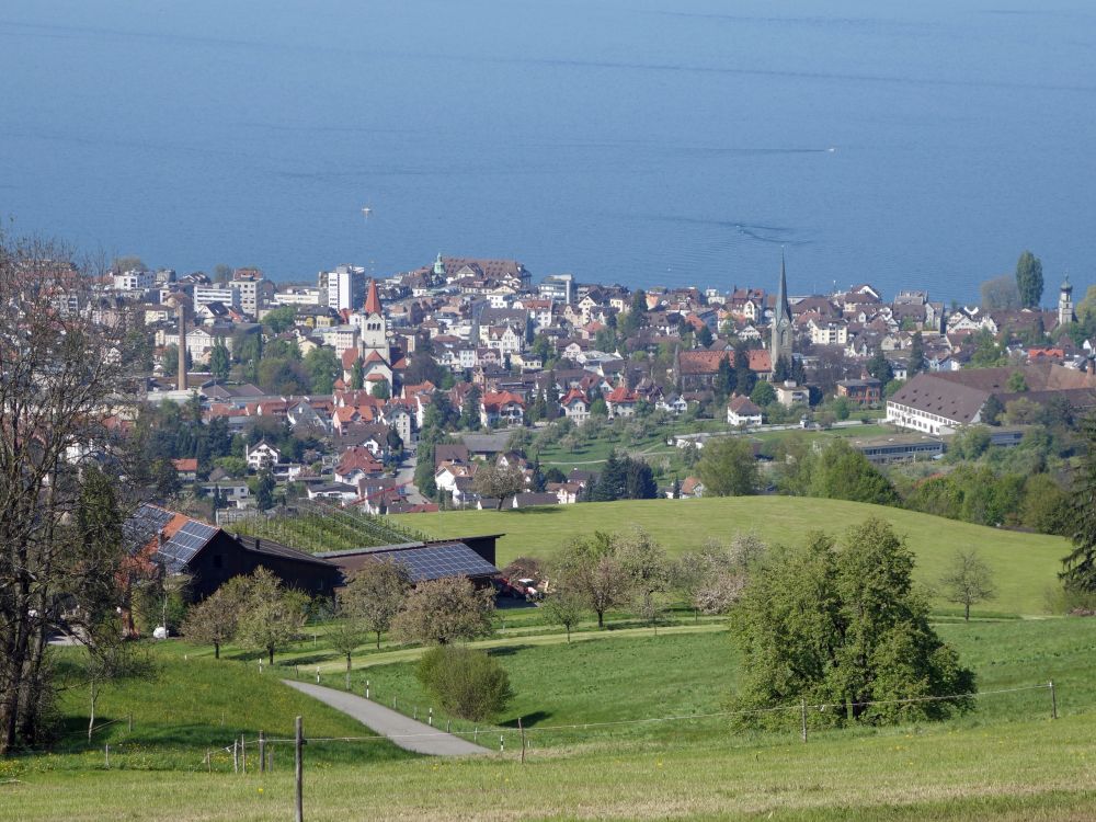 Blick auf Rorschach