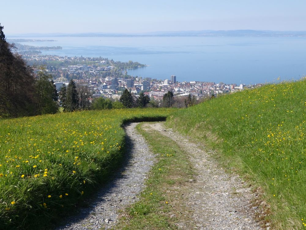 Blick zum Schweizer Bodenseeufer