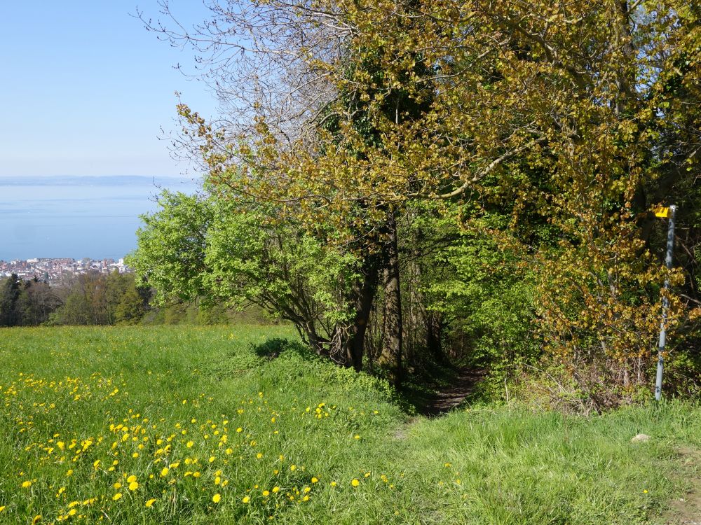 Abzweigung von der Hasenhusstrasse