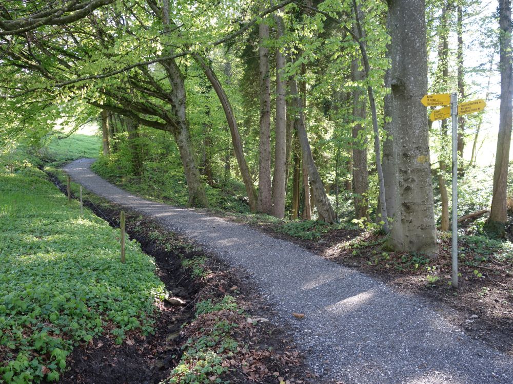 Wanderweg zum Fnflnderblick