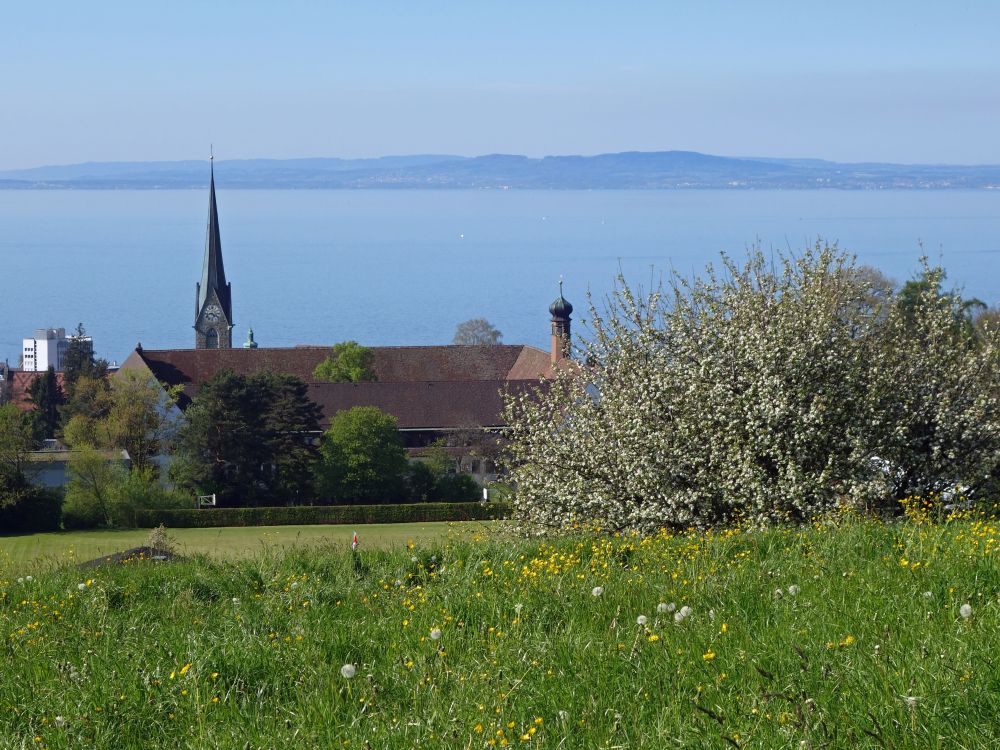 Rorschach und Bodensee