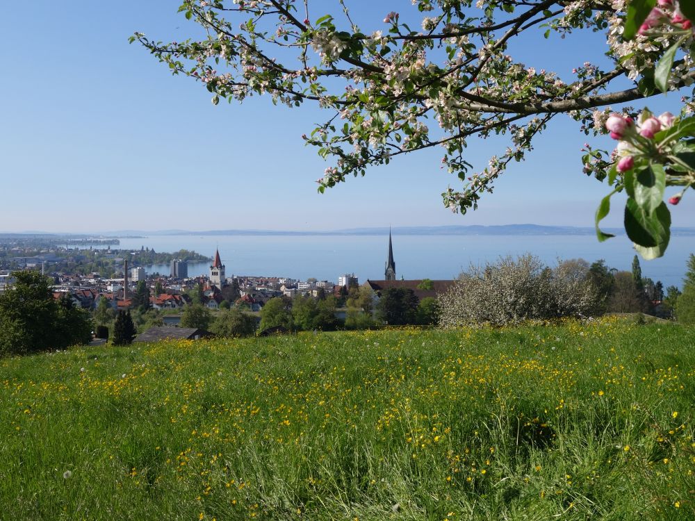 Rorschach und Bodensee