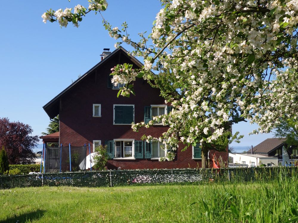 Haus an der Goldacherstrasse