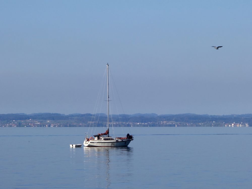 Segelboot und Deutsches Bodenseeufer