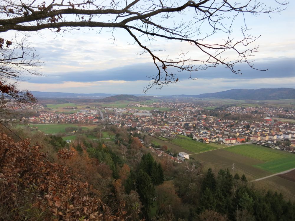 Blick ber Rielasingen