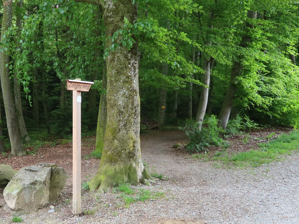 Wegweiser Zeigerweg