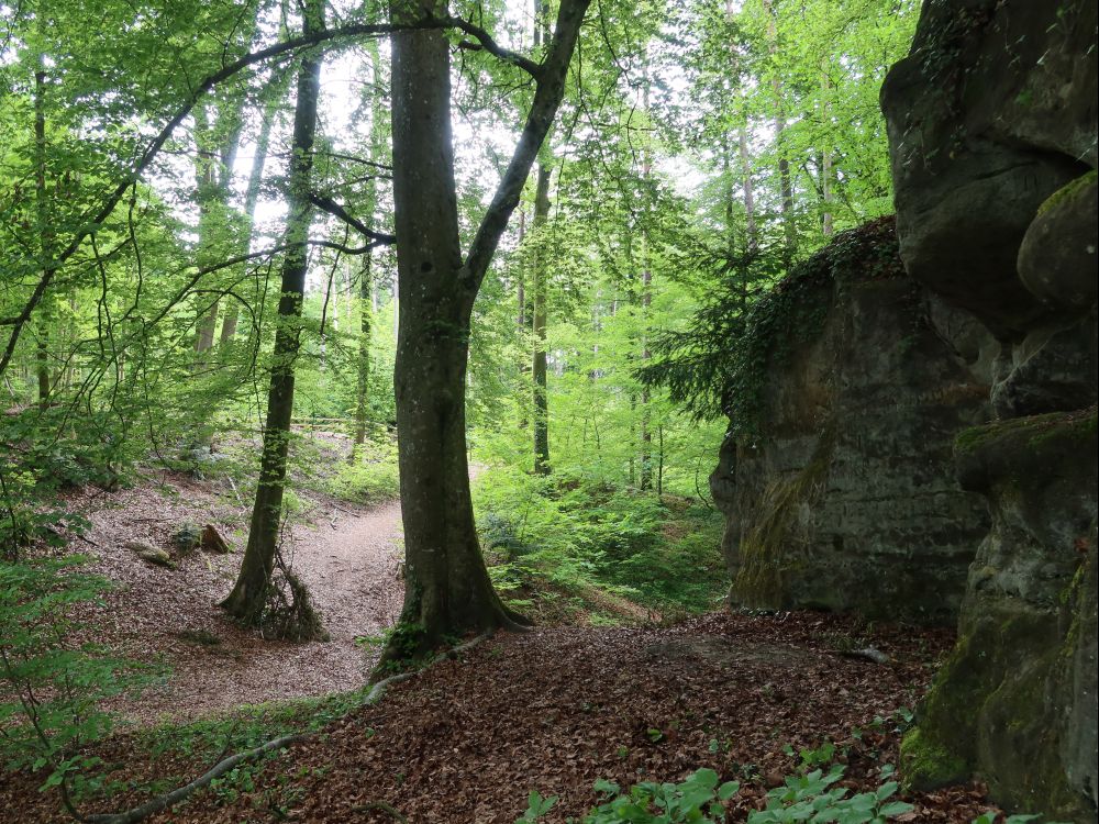 Blumenstein Felsen