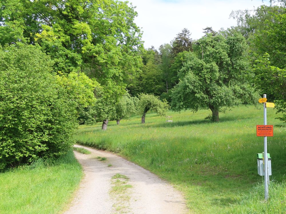 Abzweig bei Schiessbetrieb (re)