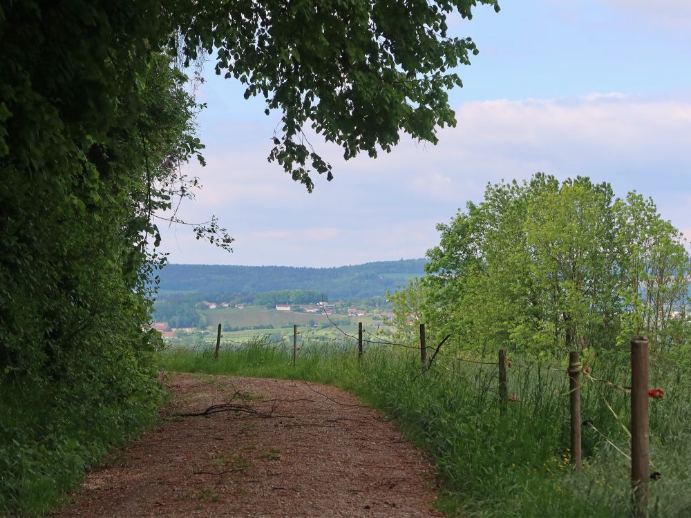 Blick zu Kirche St. Martin bei Ittingen