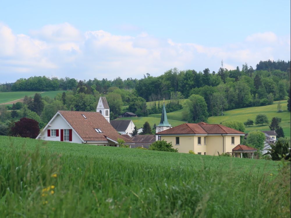 Kirchtürme in Gachnang
