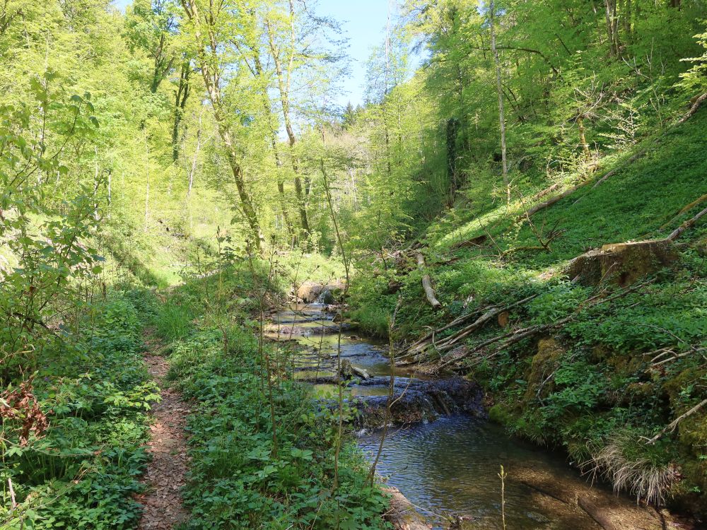 Ernstelbach
