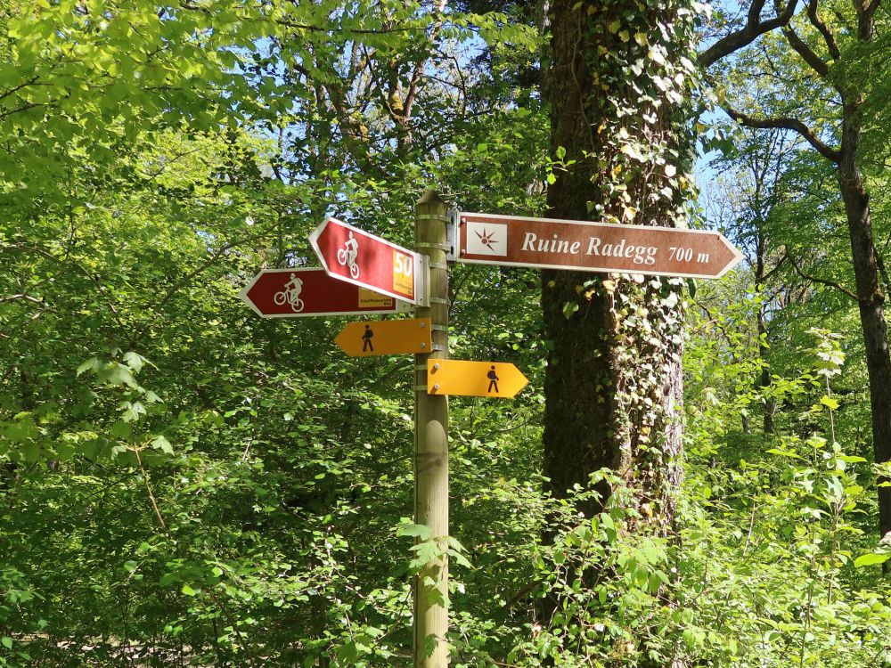 Wander- und Radwegweiser