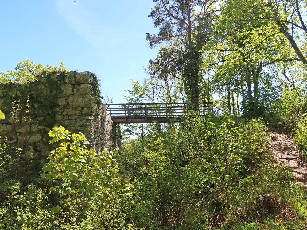 Burgruine Radegg