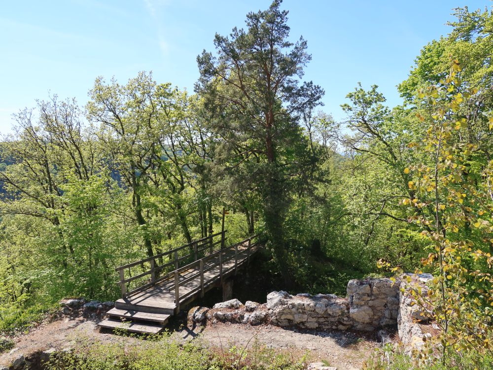 Burgruine Radegg