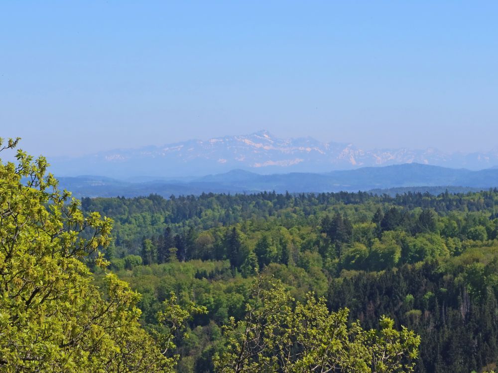 Säntis im Dunst