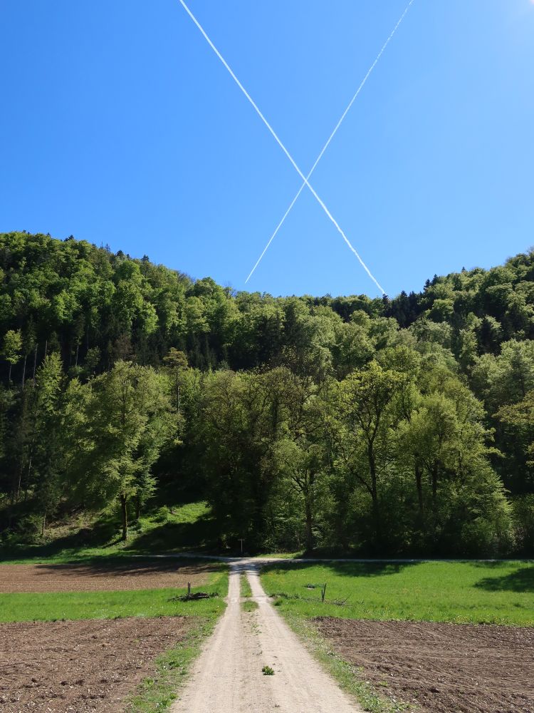 gekreuzte Kondensstreifen
