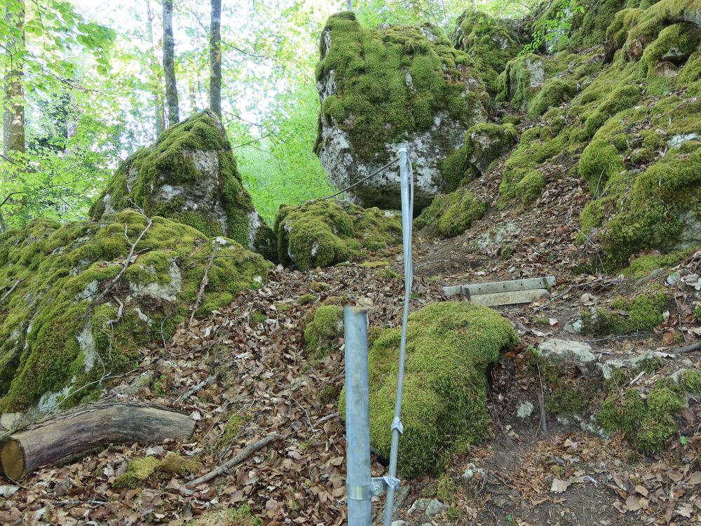 Felspfad am Ölbach