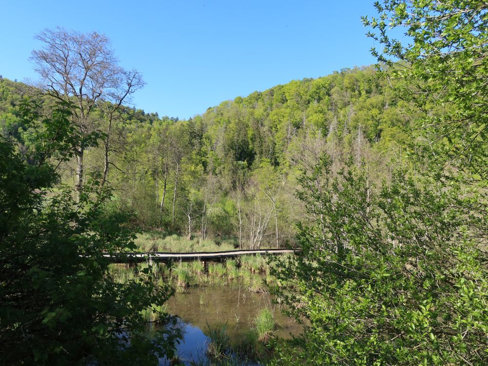 Biotop Wangental Natur Pur