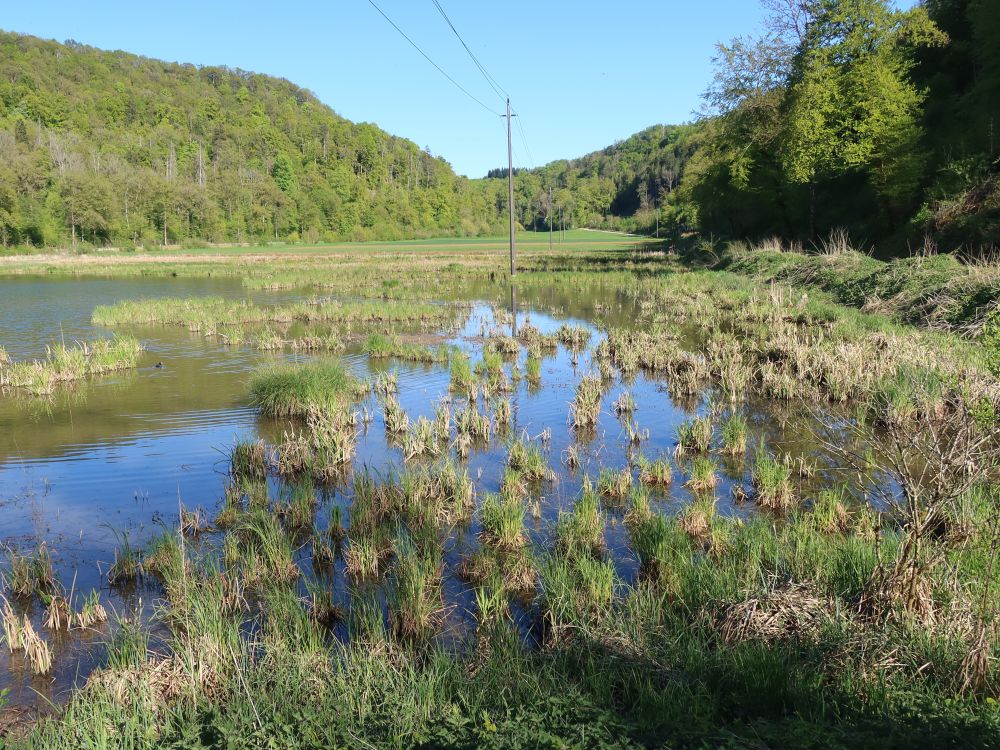 Biotop Wangental Natur Pur