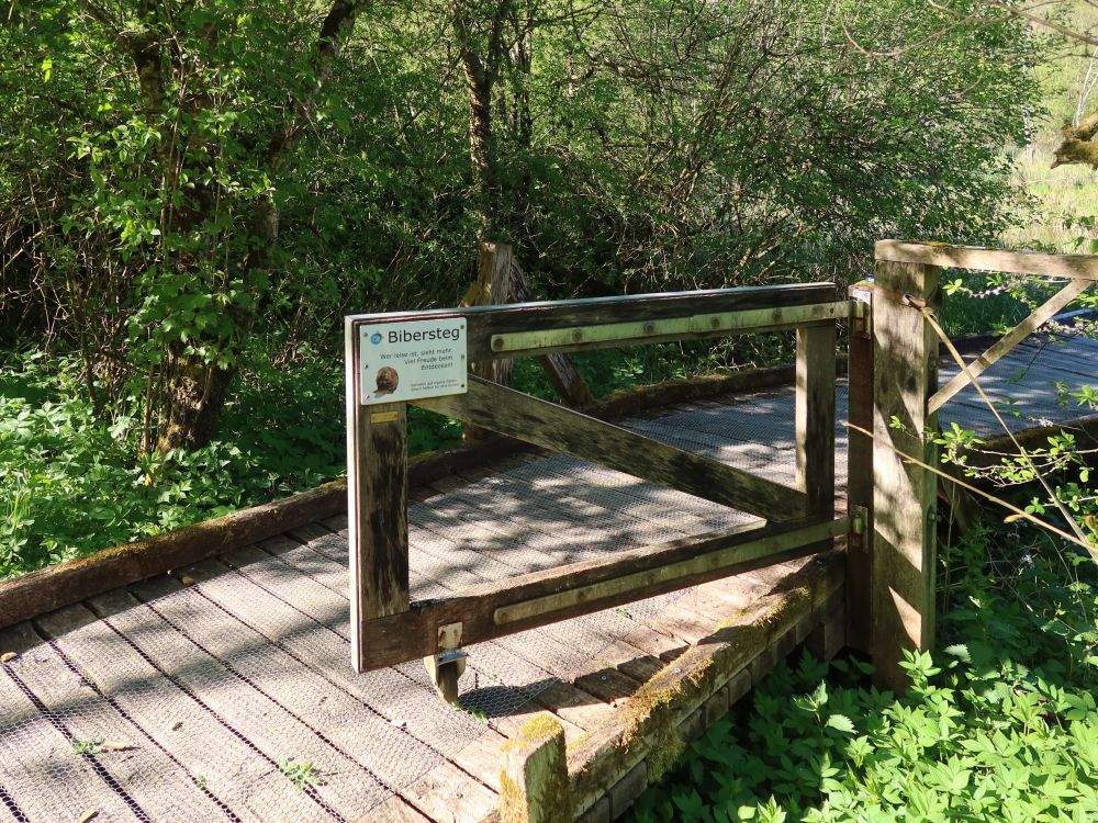 Biotop Wangental Natur Pur