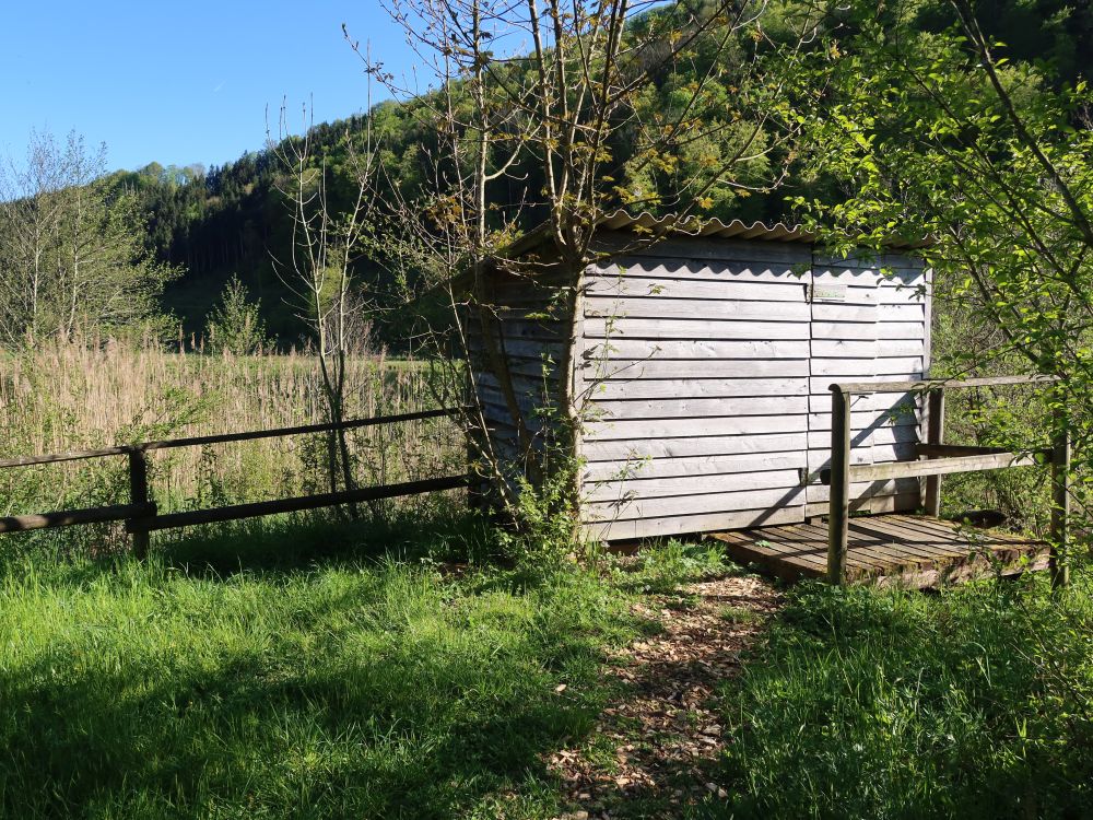 Biotop Wangental Natur Pur
