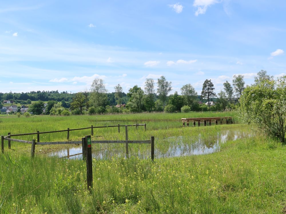 Teich mit Steg