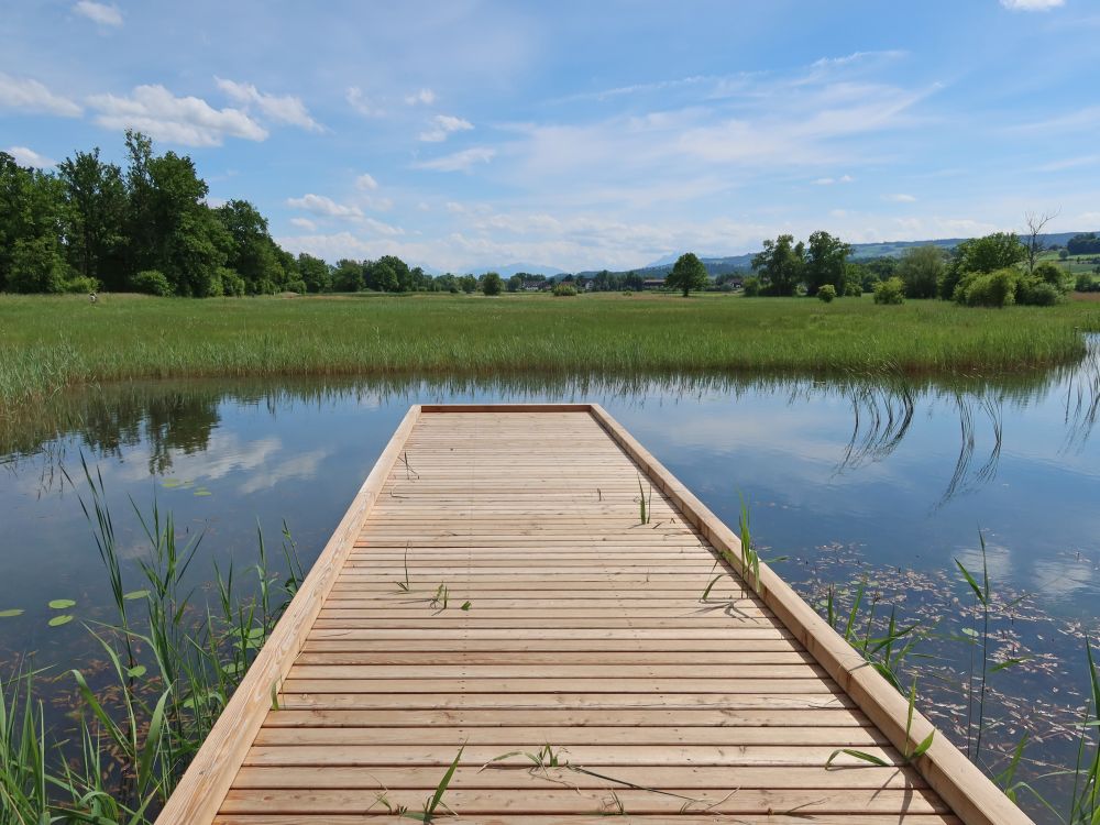 Teich mit Steg
