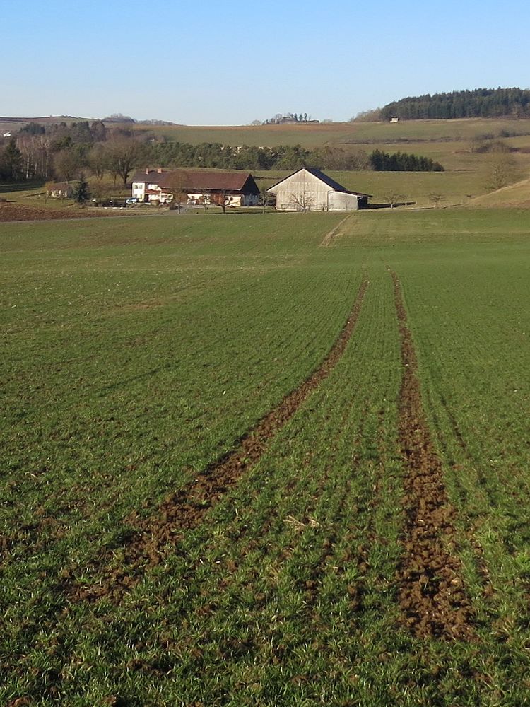 Bauernhof und Mägdeberg