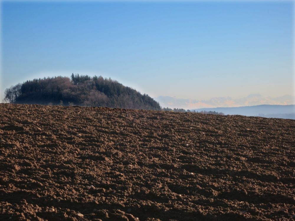 Plören und Alpen