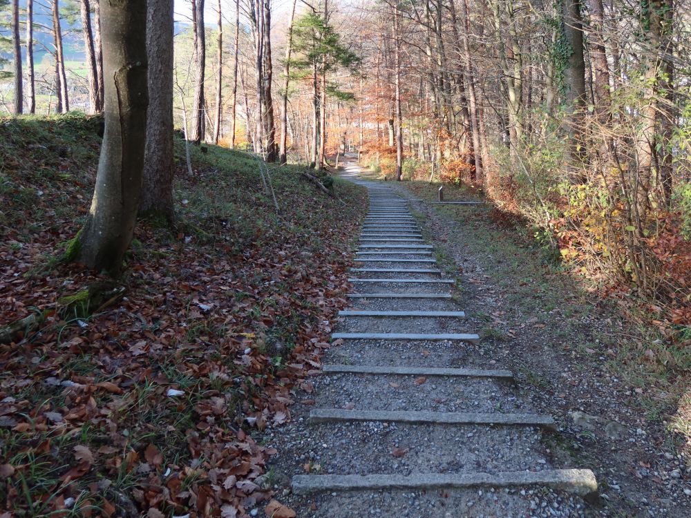 Treppe am Multberg