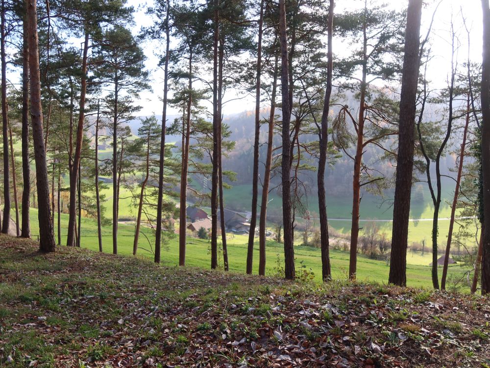 Blick vom Multberg ins Rumstal