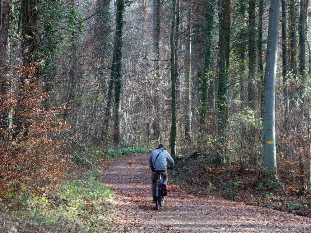 Radler im Wald