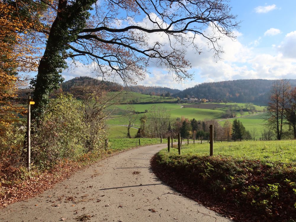 Blick Richtung Neuburg