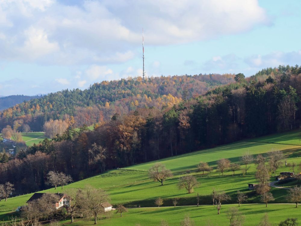 Brüehlbergturm