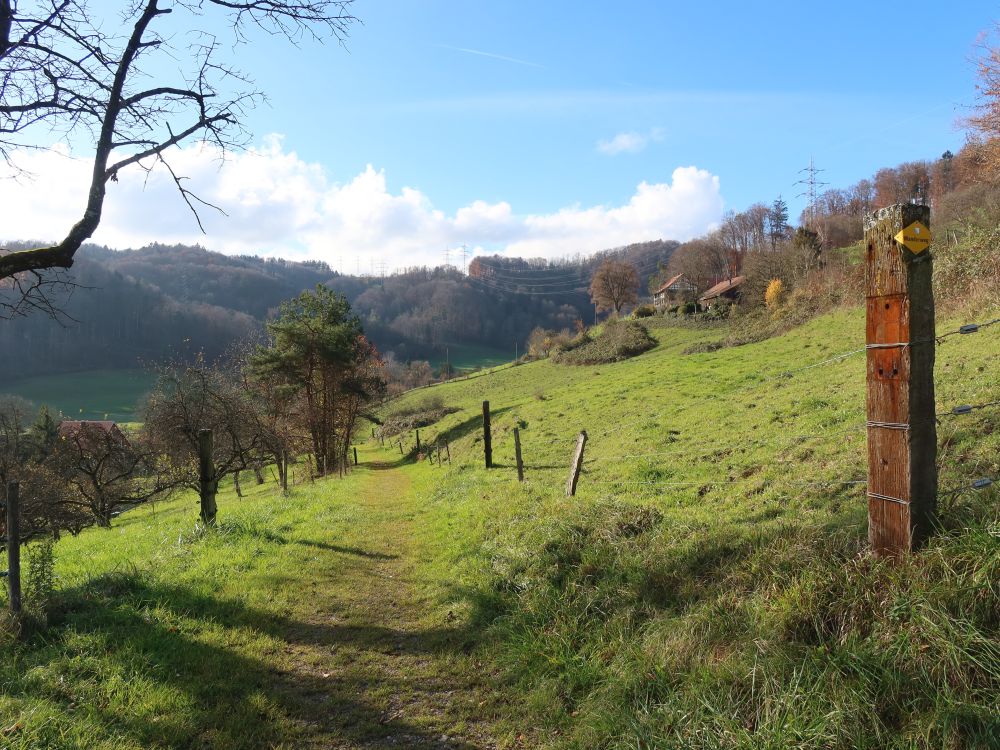 Pfad ins Weiertal