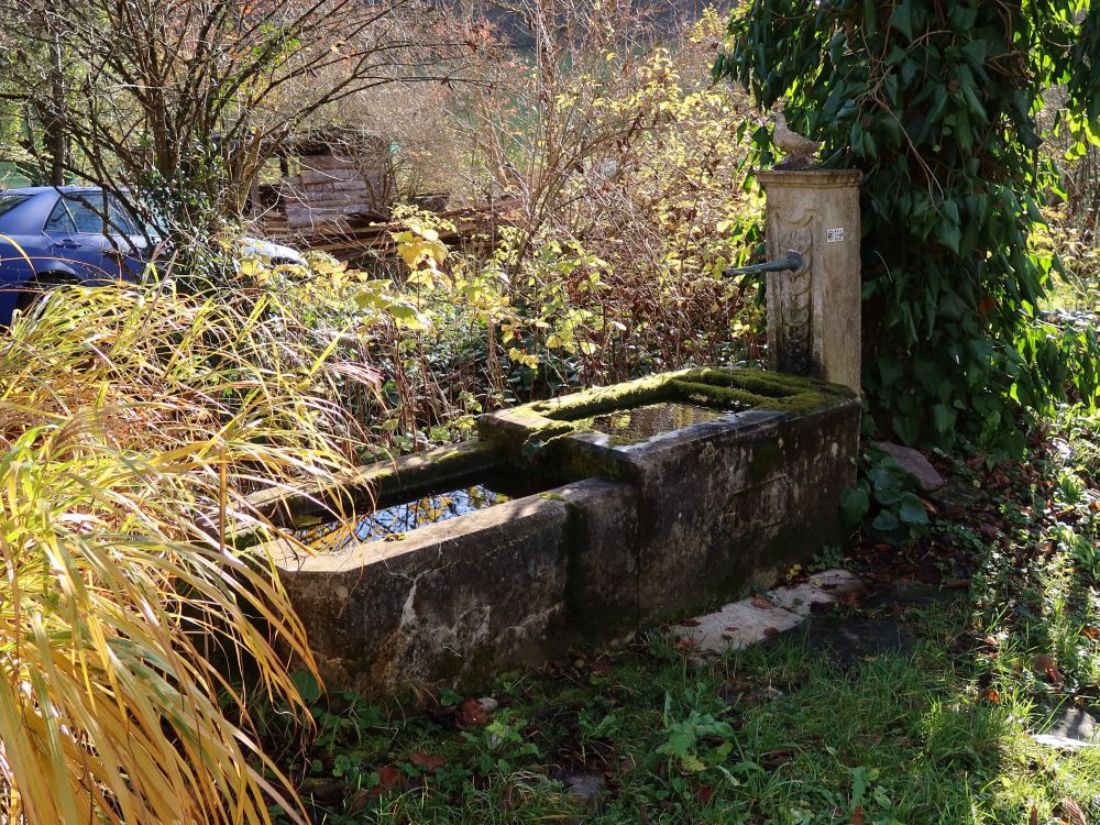 Brunnen bei Weiertal