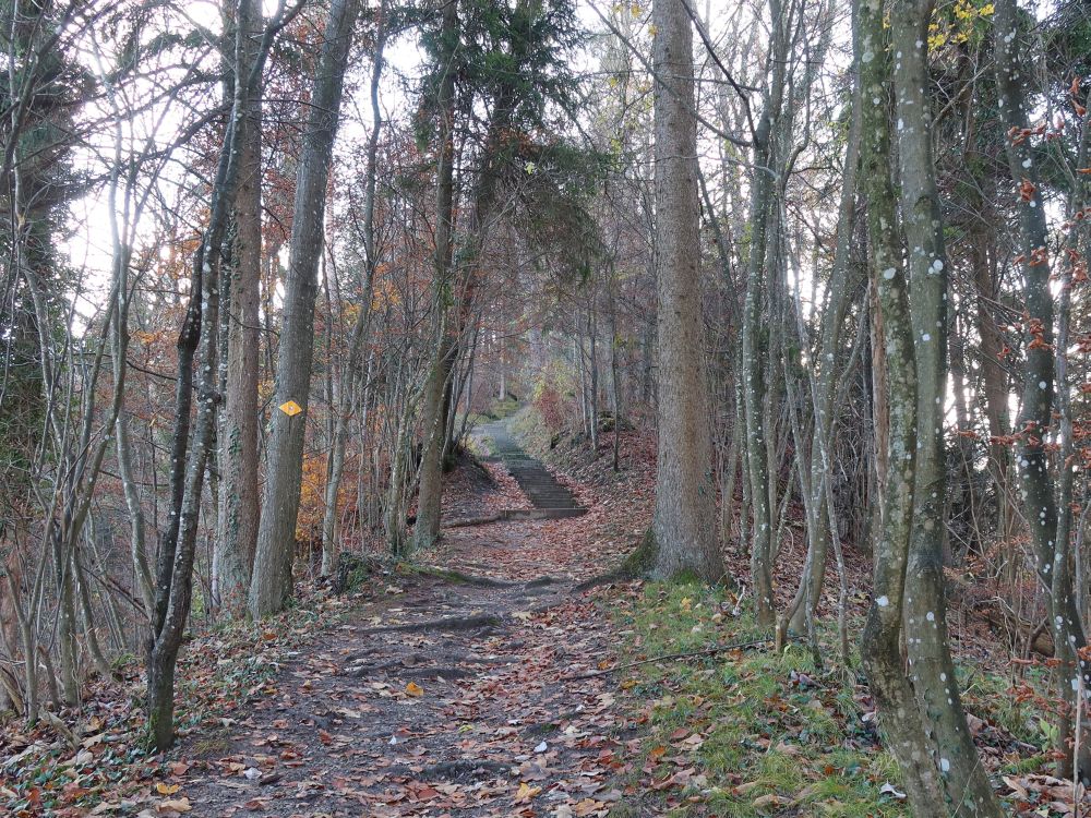 Treppe oberhalb Weitobel