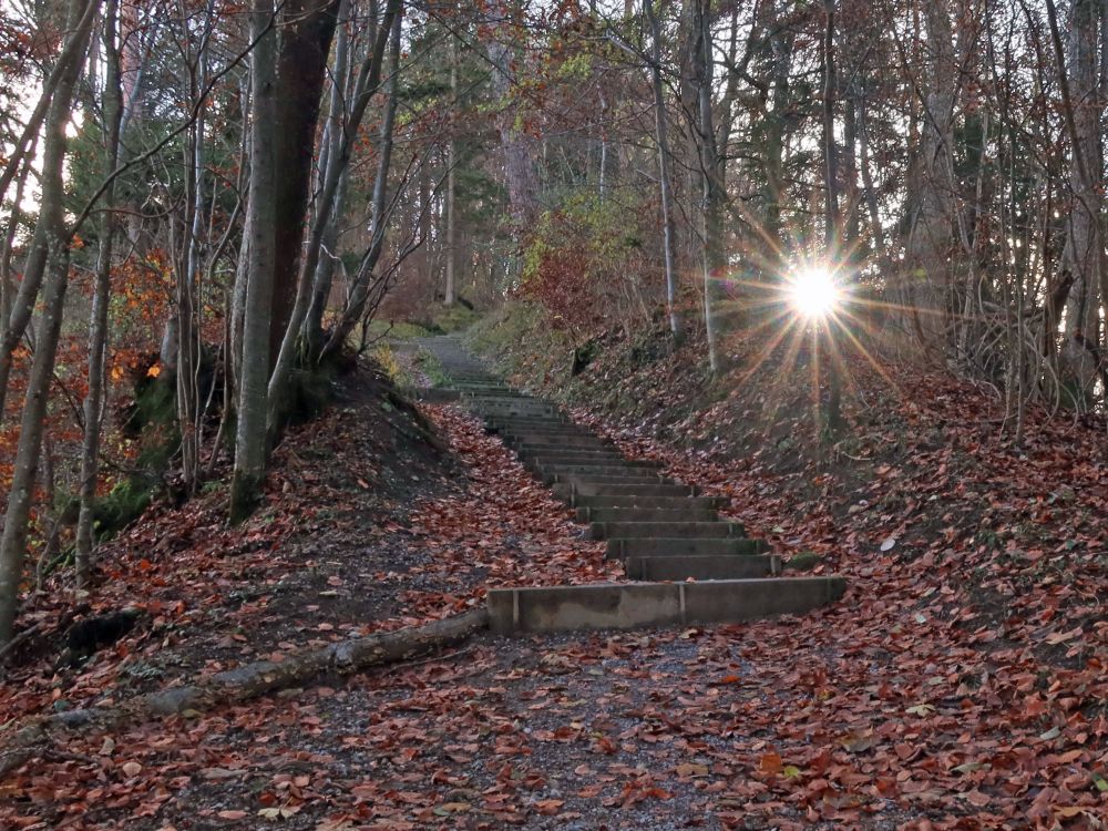 Treppe mit Sonne