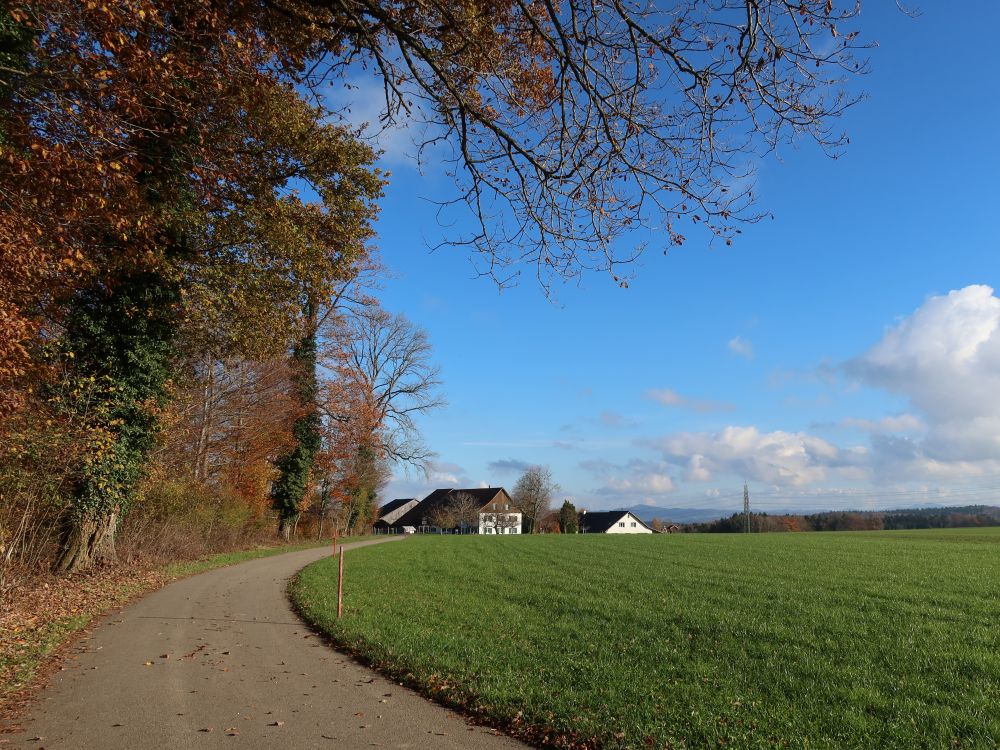 Bauernhof Stiegen