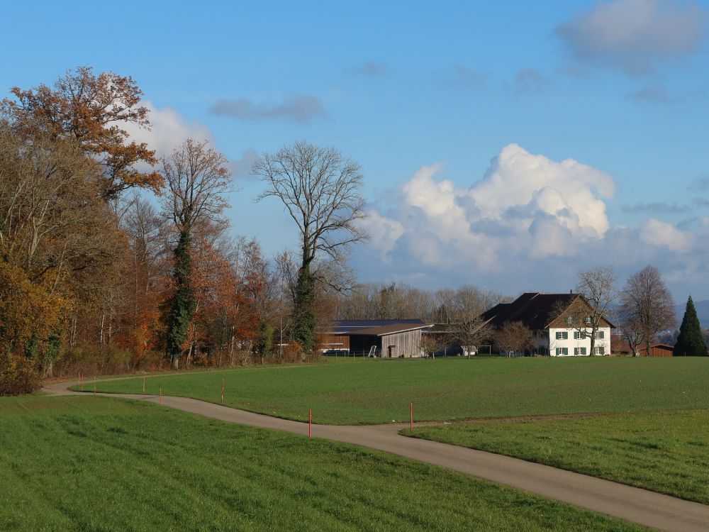 Bauernhof Stiegen