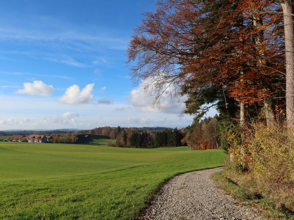 Blick Richtung Obermettmenstetten