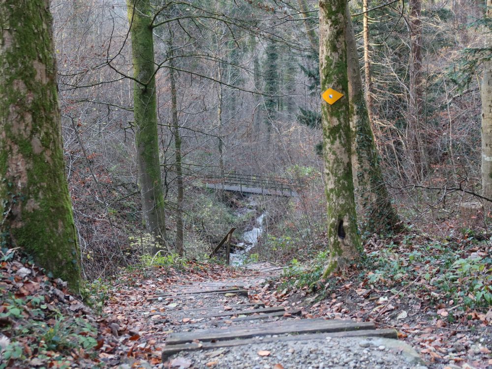 Treppe und Steg am Grabibach