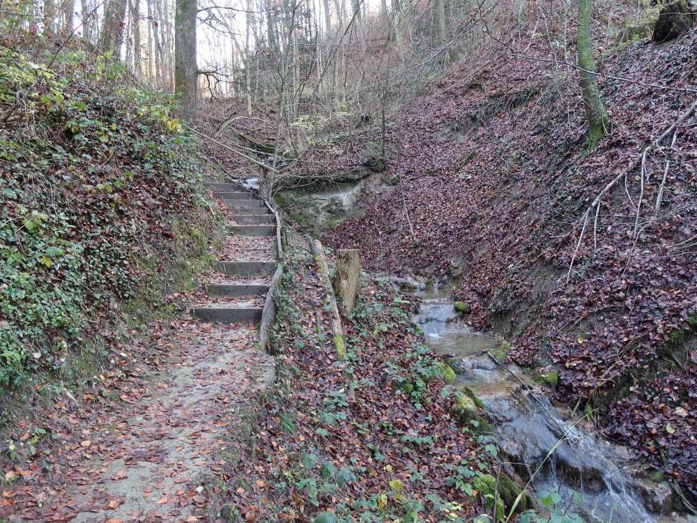 Treppe am Grabibach