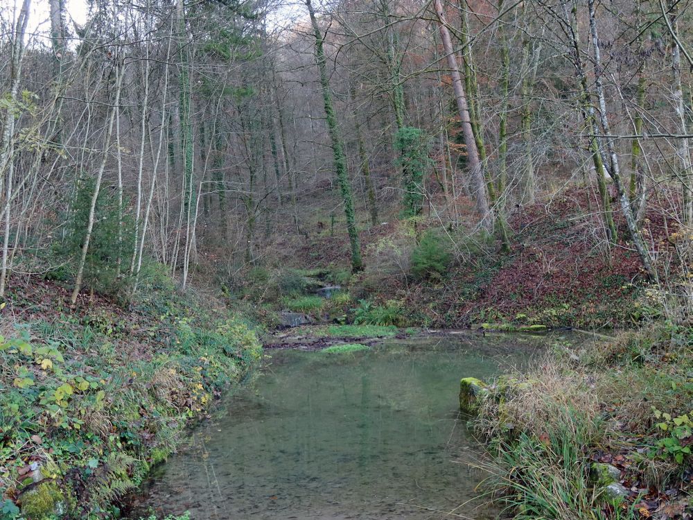 Teich am Grabibach