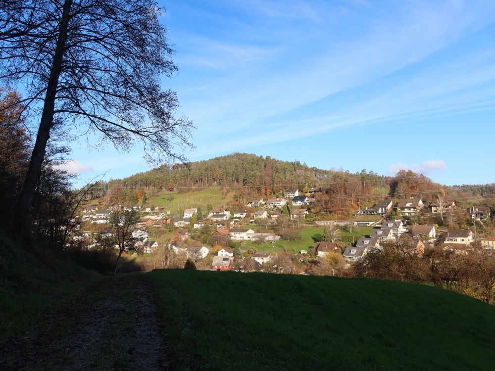 Multberg über Pfungen